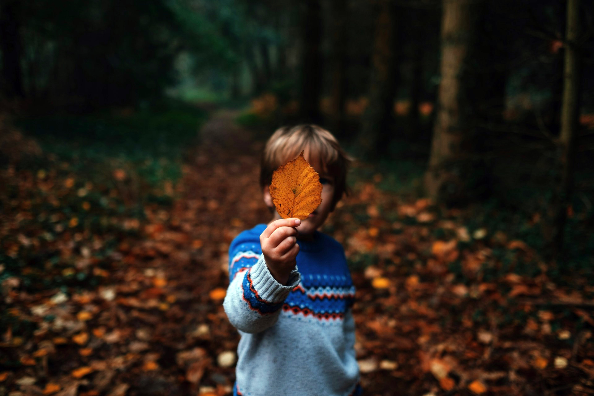Дете с листо от дърво